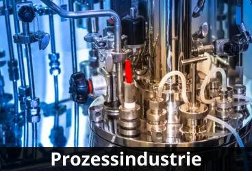 onze markten - voedsel & drank