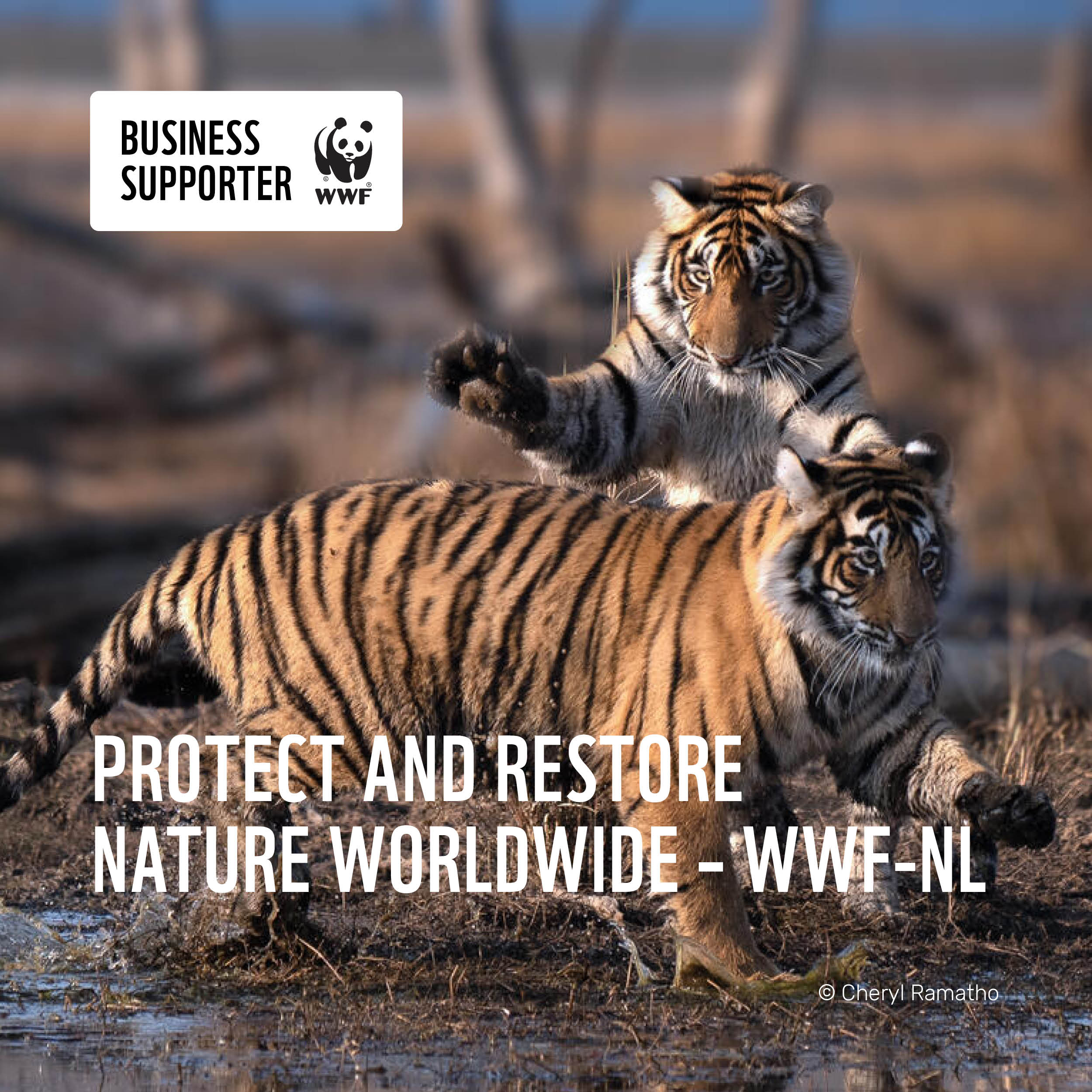 Business Supporter World Wildlife Fund