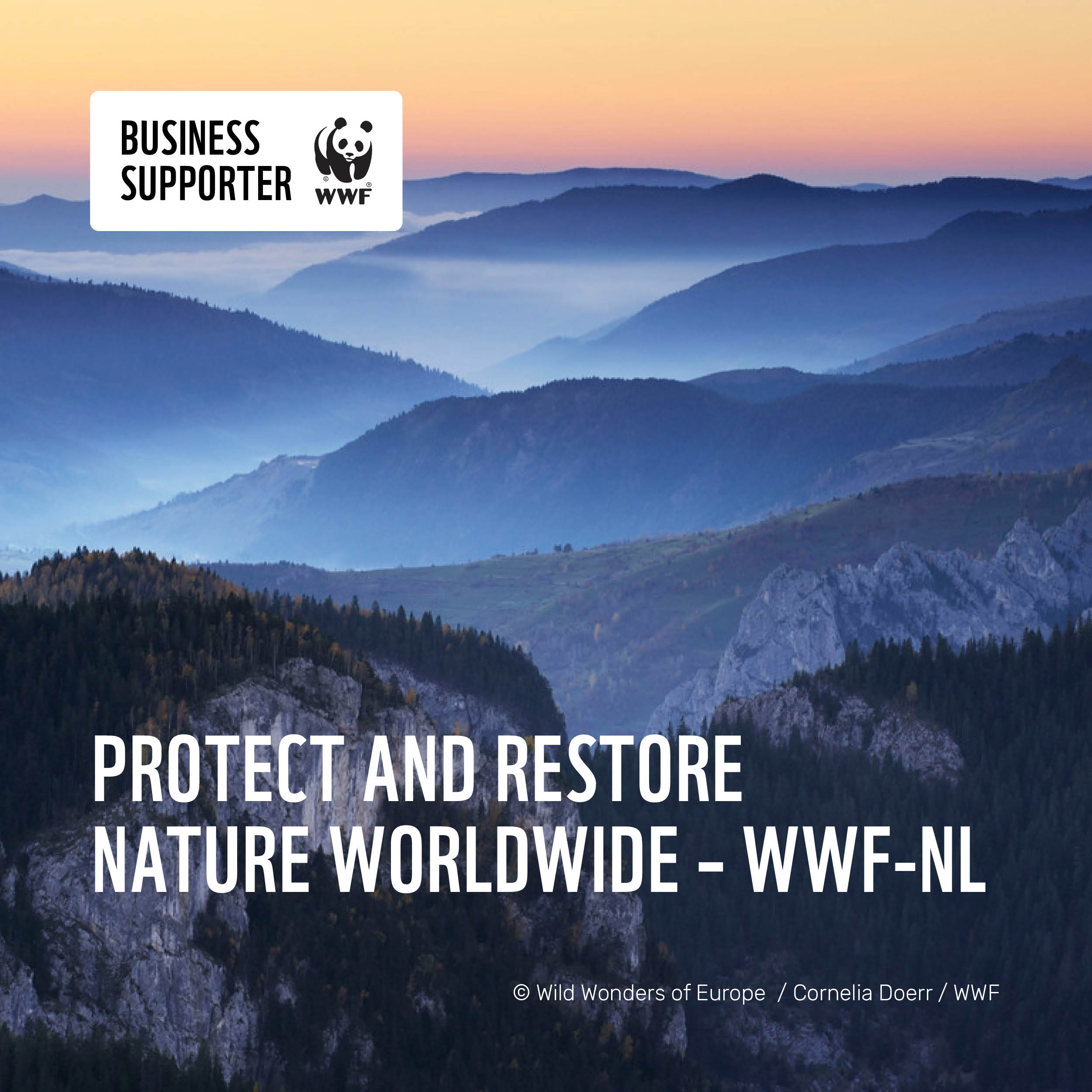 Business Supporter World Wildlife Fund