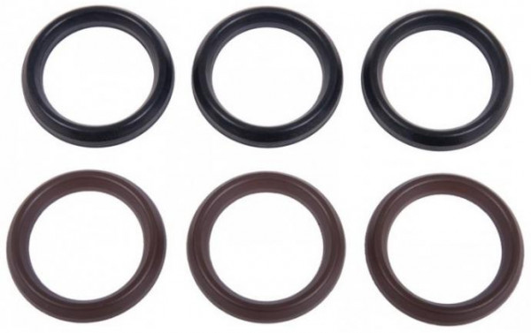 Interpump Kit 38 - High- and Low-Pressure Seal Set Ø36 (2x3 Rings) | Compatible with T44, T55, W4, T41 Pumps product photo